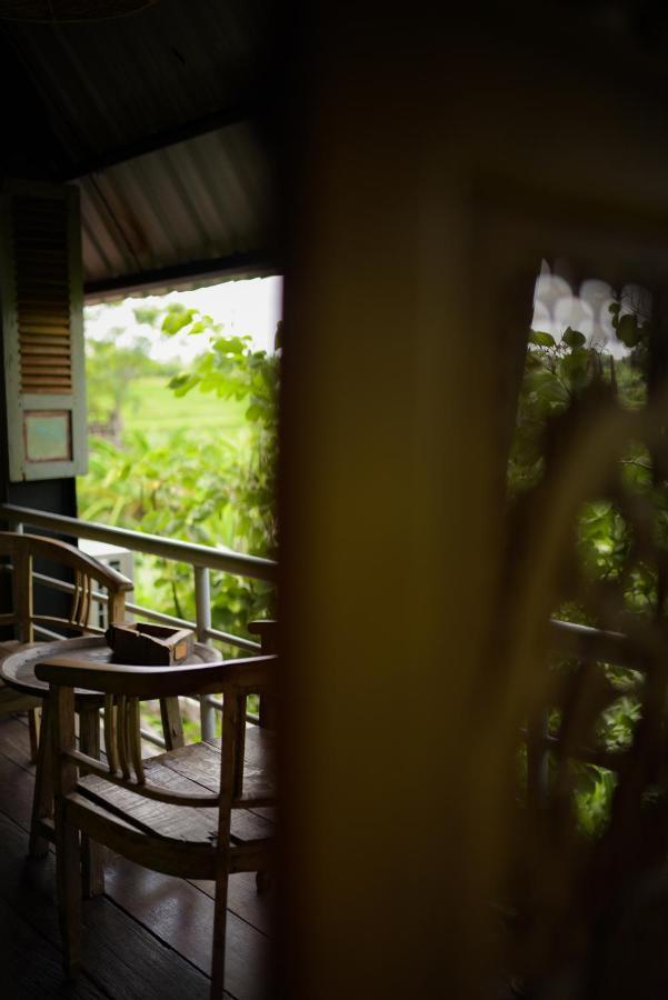 瑙里公园精品住宿加早餐旅馆 坎古 外观 照片